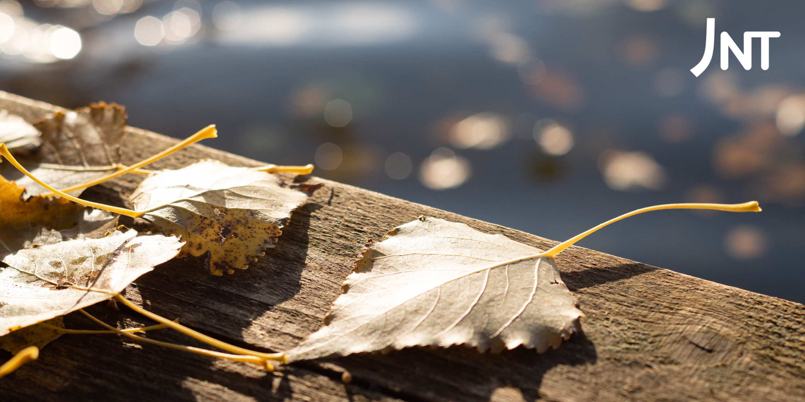 JNT:n kestävyysraportti 2024