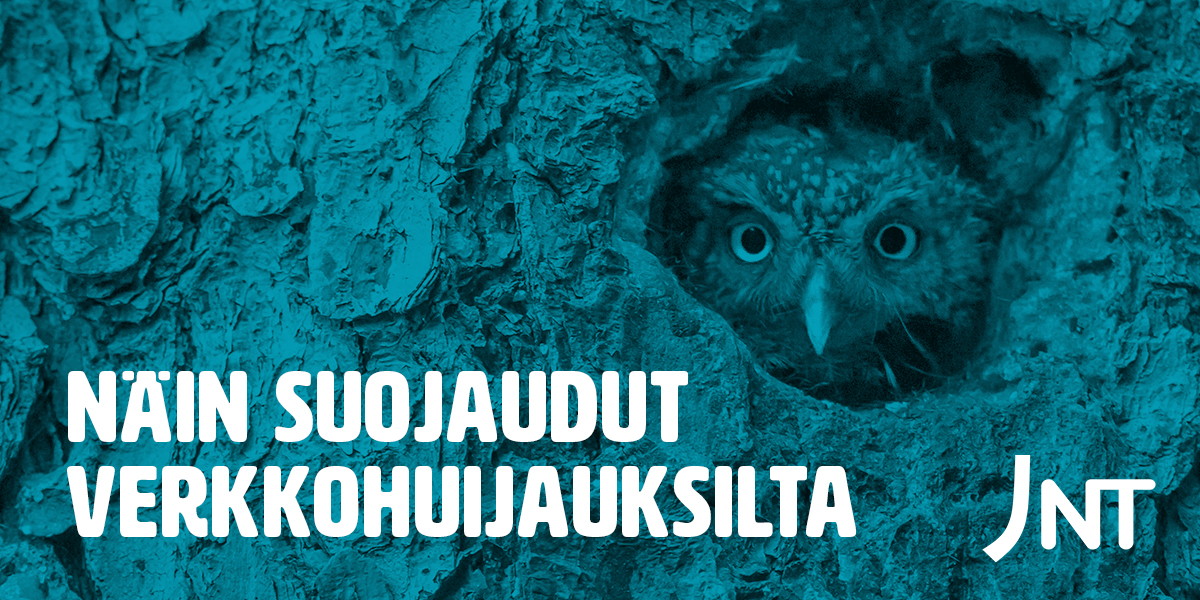 Yleisiä merkkejä nettihuijauksista