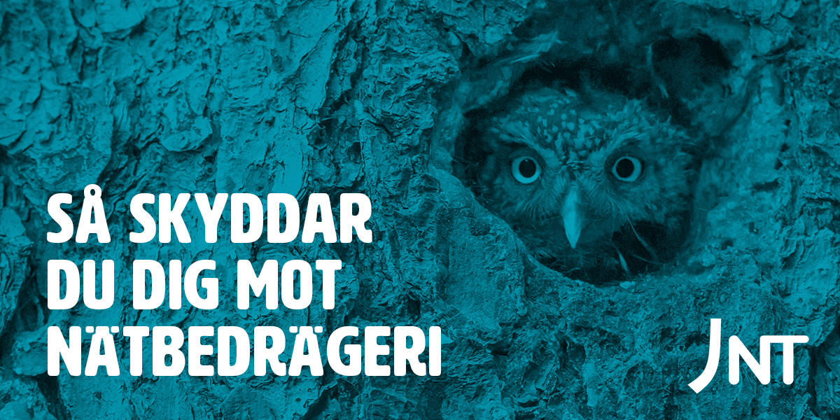 Vanliga tecken på nätbedrägeri